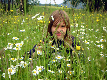 Wohnung 'Blumenwiese'