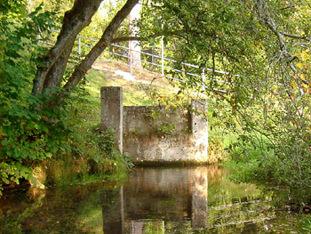 Wohnung 'Petrusquelle'